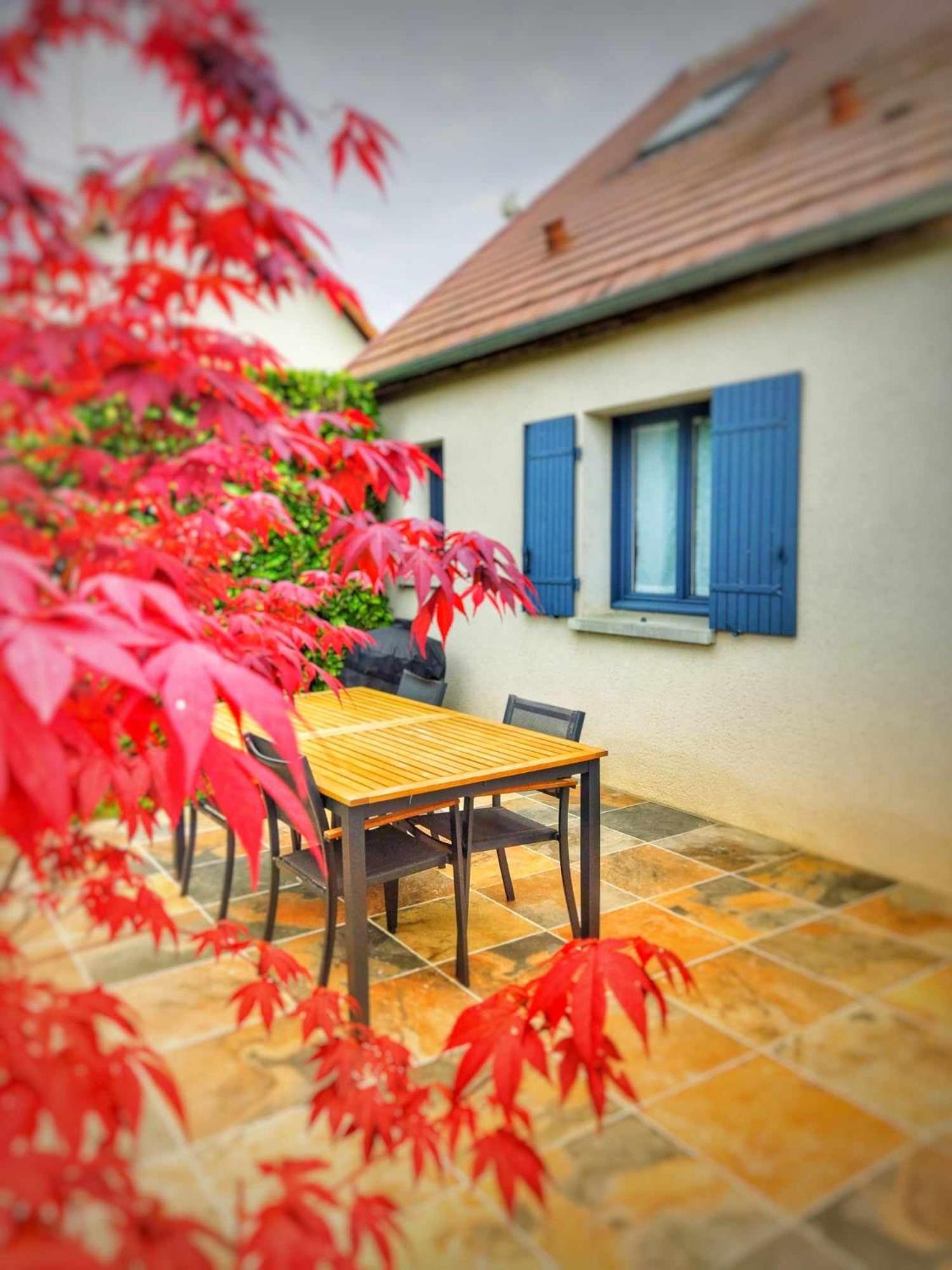 Le Cissereau - Chambres Et Table D'Hotes Onzain Exterior photo